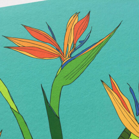 Tropical Bird of Paradise Flower Art Print detail