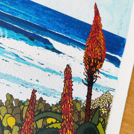 Jeffreys bay Supertubes surf art print – Aloe flower detail